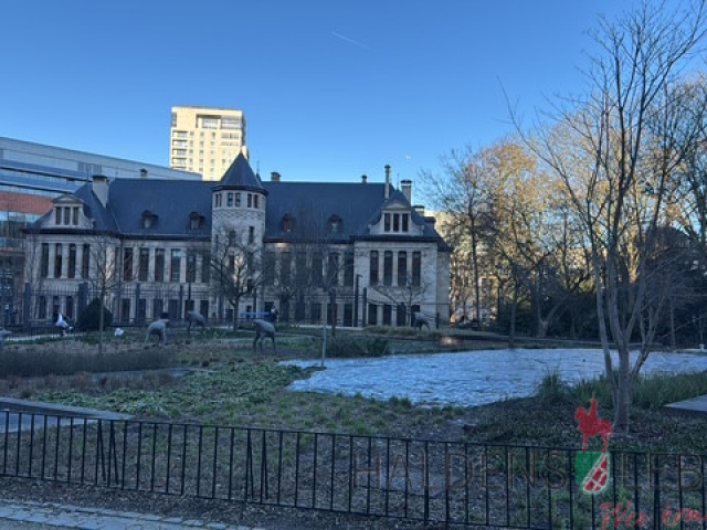 45529062-F85E-4A98-8BDD-AB10274C5935